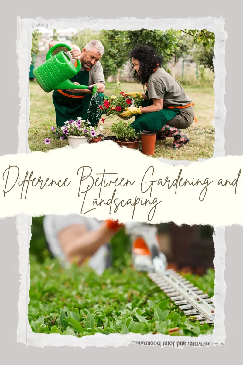 Difference Between Gardening and Landscaping