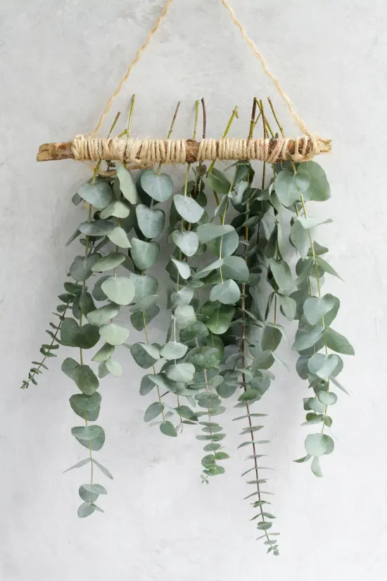 String of hearts