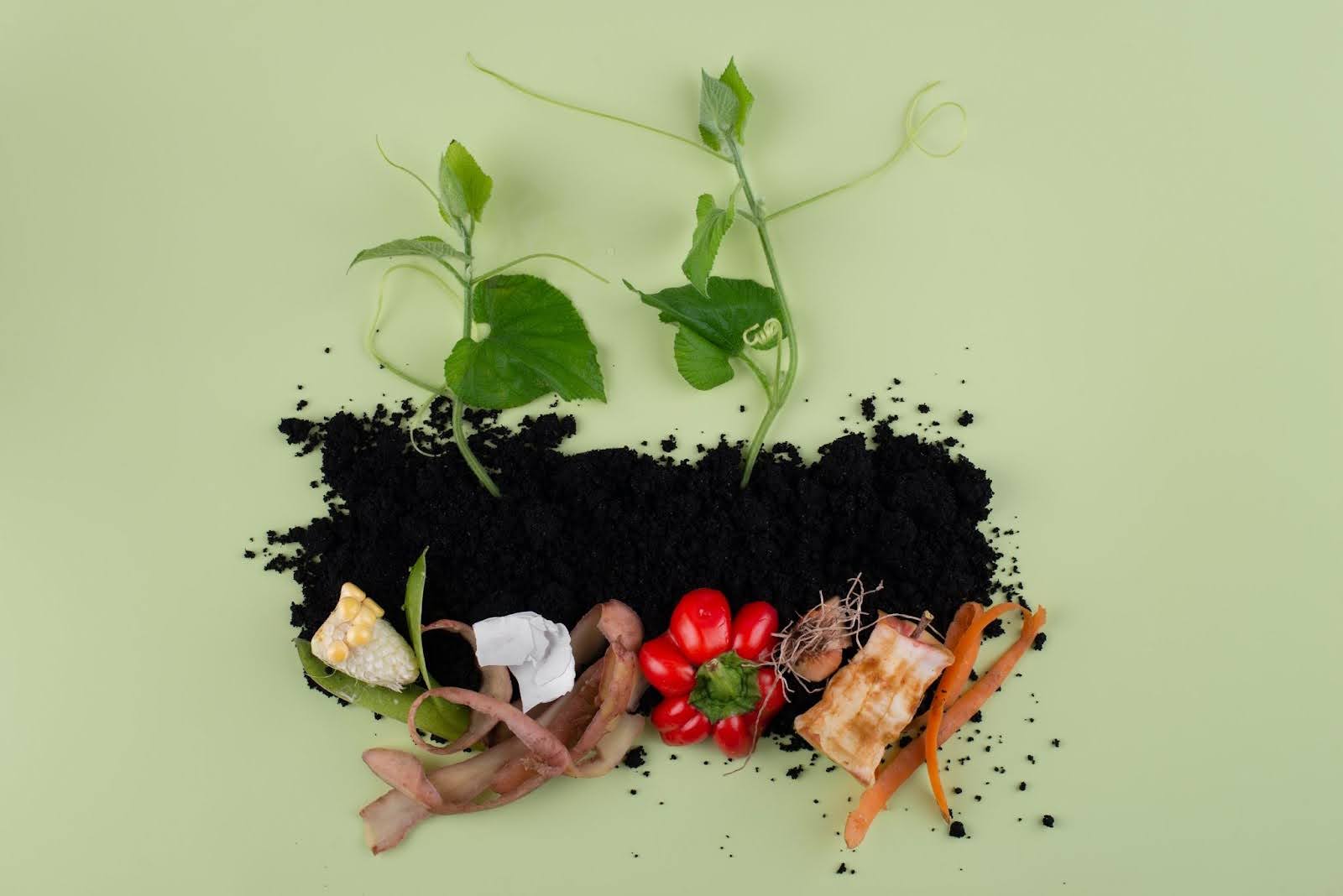 How Does It Work The Science Behind Composting