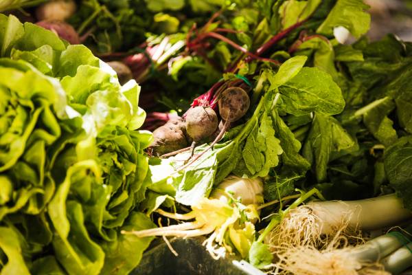 full-frame-various-fresh-leafy-vegetable-sale