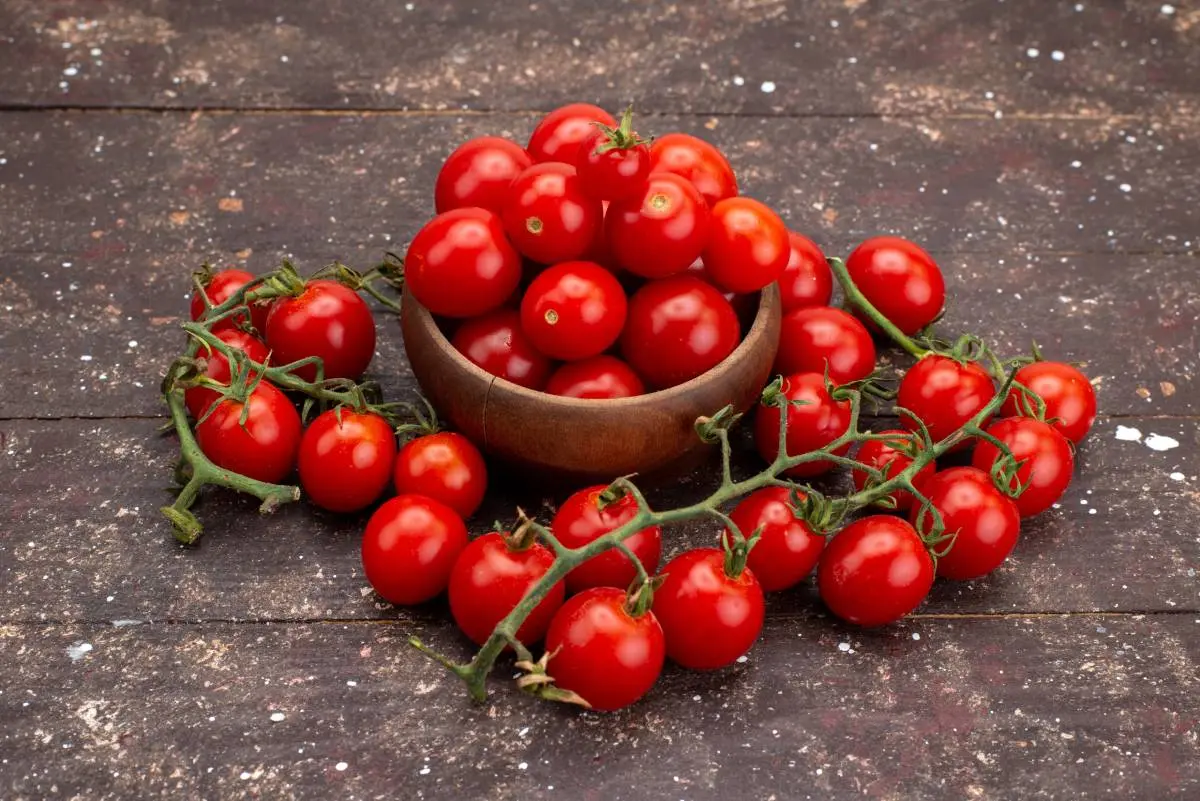 Patio Choice Red Cherry Tomato Variety
