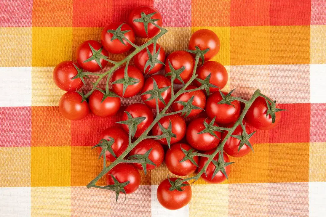 Sweetheart of the Patio Tomato Variety